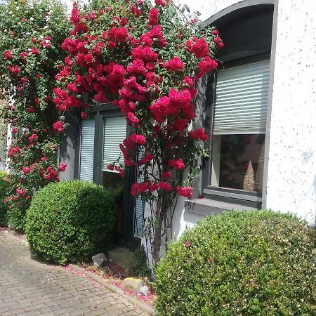 Altstadt-Apartment Petershagen Dış mekan fotoğraf